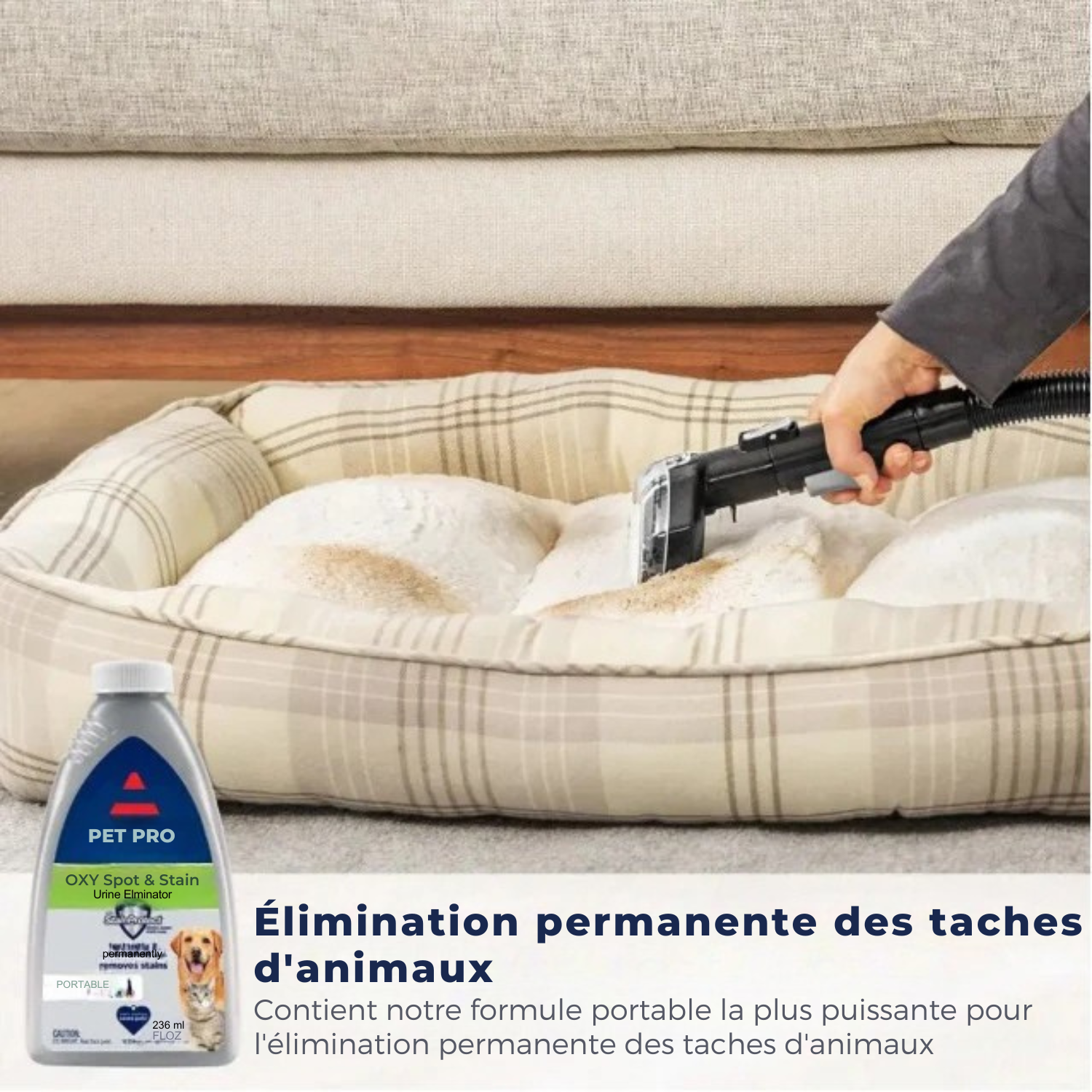GlamClean™ Nettoyeur de tapis